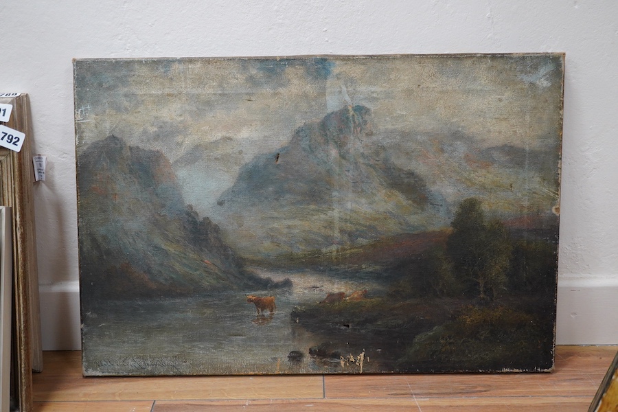 William Langley (fl.1880-1920), oil on canvas, Highland landscape with cattle, signed, 40 x 61cm, unframed. Condition - poor